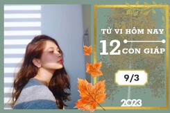 Tử vi hàng ngày hôm nay của 12 con giáp 9/3/2023: Tý tài lộc ổn định, Ngọ tình duyên muộn phiền