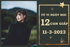 Tử vi ngày mai của 12 con giáp 11/3/2023: Thân tài lộc khởi sắc, Hợi tình yêu tốt đẹp