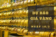 Dự báo giá vàng 10/3: Có thể tiếp tục tăng?