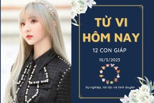 Tử vi hàng ngày hôm nay của 12 con giáp 10/3/2023: Sửu tài lộc ổn định, Mùi tình duyên hạnh phúc