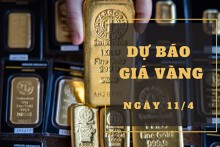 Dự báo giá vàng 11/4: Khả năng tiếp tục giảm theo thị trường thế giới?