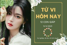 Tử vi hàng ngày hôm nay của 12 con giáp 11/4/2023: Dậu tài lộc rủng rỉnh, Hợi tình cảm hài hòa