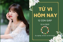 Tử vi hàng ngày hôm nay của 12 con giáp 12/4/2023: Ngọ có tin vui về tài lộc, Thìn tình cảm thăng trầm