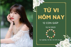 Tử vi hàng ngày hôm nay của 12 con giáp 12/4/2023: Ngọ có tin vui về tài lộc, Thìn tình cảm thăng trầm