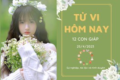 Tử vi hàng ngày hôm nay của 12 con giáp 25/4/2023: Thân tình cảm thăng hoa, Sửu công việc gặp rắc rối