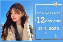 Tử vi ngày mai của 12 con giáp 11/4/2023: Tý tài lộc ổn định, Thân sự nghiệp hanh thông