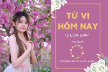 Tử vi hàng ngày hôm nay của 12 con giáp 1/5/2023: Tý công việc gặp khó khăn, Dậu tài lộc khấm khá