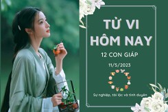Tử vi hàng ngày hôm nay của 12 con giáp 11/5/2023: Sửu có tin vui về tài lộc, Ngọ tình cảm êm đẹp