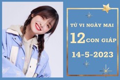 Tử vi ngày mai của 12 con giáp 14/5/2023: Thân tài lộc bấp bênh, Mão tình yêu thắm sắc