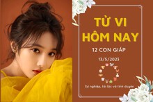 Tử vi hàng ngày hôm nay của 12 con giáp 13/5/2023: Sửu công việc gặp chút khó khăn, Mùi tài lộc rủng rỉnh