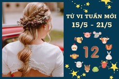 Tử vi tuần mới của 12 con giáp từ 15/5 đến 21/5: Dậu tài lộc khởi sắc, Thìn sự nghiệp hanh thông