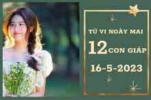 Tử vi ngày mai của 12 con giáp 16/5/2023: Sửu vượng tài lộc, Thìn tình cảm trắc trở
