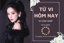 Tử vi hàng ngày hôm nay của 12 con giáp 15/5/2023: Mão sự nghiệp tương đối khó khăn, Hợi tình cảm rực rỡ