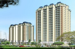 Không có nguồn việc mới, một doanh nghiệp xây dựng Nhà nước tạm ngừng kinh doanh