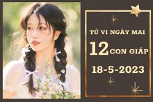 Tử vi ngày mai của 12 con giáp 18/5/2023: Tý tài lộc khấm khá, Dậu tình yêu nở rộ
