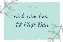 Gợi ý 5 cách cắm hoa Lễ Phật Đản ấn tượng năm 2023