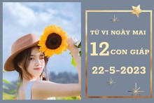 Tử vi ngày mai của 12 con giáp 22/5/2023: Thìn tài lộc giảm nhẹ, Tý tình yêu viên mãn