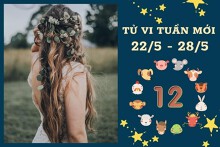 Tử vi tuần mới của 12 con giáp từ 22/5 đến 28/5: Dần tài lộc vượng tiến, Thân tình yêu khởi sắc