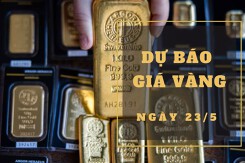 Dự báo giá vàng 23/5: Có thể phục hồi nhẹ trở lại theo thế giới?
