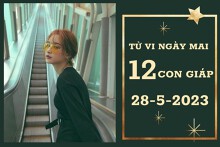 Tử vi ngày mai của 12 con giáp 28/5/2023: Mùi tài lộc ổn định, Sửu tình yêu gặp trở ngại