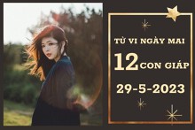 Tử vi ngày mai của 12 con giáp 29/5/2023: Dần tài lộc chững lại, Tuất sự nghiệp suôn sẻ