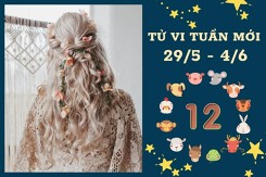 Tử vi tuần mới của 12 con giáp từ 29/5 đến 4/6: Mão tài lộc phát tài, Dậu công việc ổn định