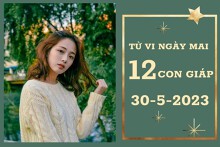 Tử vi ngày mai của 12 con giáp 30/5/2023: Tý tài lộc kém vượng, Thân tình cảm thắm sắc