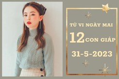 Tử vi ngày mai của 12 con giáp 31/5/2023: Thìn tài lộc hanh thông, Hợi công việc thăng tiến