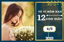 Tử vi hàng ngày hôm nay của 12 con giáp 4/5/2023: Tý tài lộc ổn định, Thân tình cảm bền chặt