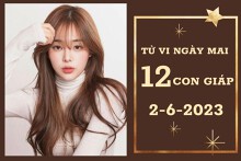 Tử vi ngày mai của 12 con giáp 2/6/2023: Dậu tài lộc có điểm sáng, Tý sự nghiệp bất ổn