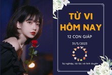 Tử vi hàng ngày hôm nay của 12 con giáp 31/5/2023: Mùi công việc gặp rắc rối, Dậu tài chính dư dả