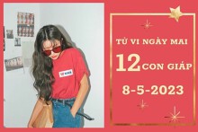 Tử vi ngày mai của 12 con giáp 8/5/2023: Tý tài lộc hanh thông, Tuất tình cảm kém sắc