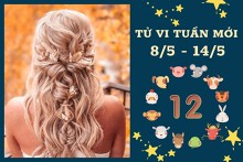 Tử vi tuần mới của 12 con giáp từ 8/5 đến 14/5: Tý tài lộc gặp may mắn, Mùi tình cảm không vui