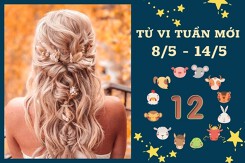 Tử vi tuần mới của 12 con giáp từ 8/5 đến 14/5: Tý tài lộc gặp may mắn, Mùi tình cảm không vui