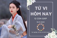 Tử vi hàng ngày hôm nay của 12 con giáp 10/5/2023: Thìn đón vận may, Tỵ tài lộc tăng nhanh