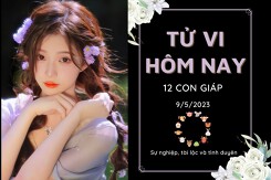 Tử vi hàng ngày hôm nay của 12 con giáp 9/5/2023: Mão tài lộc hao hụt, Dậu tình cảm tốt đẹp