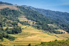 Hòa Bình đấu giá khu đất xây nhà ở 20.000 m2 tại huyện Lạc Sơn, khởi điểm hơn 16,6 tỷ đồng