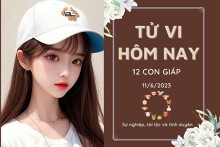Tử vi hàng ngày hôm nay của 12 con giáp 11/6/2023: Dậu công việc gặp may mắn, Tuất tiền bạc rủng rỉnh
