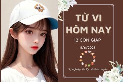 Tử vi hàng ngày hôm nay của 12 con giáp 11/6/2023: Dậu công việc gặp may mắn, Tuất tiền bạc rủng rỉnh