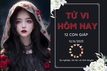 Tử vi hàng ngày hôm nay của 12 con giáp 12/6/2023: Mùi gặp được quý nhân phù trợ, Hợi tài lộc hanh thông