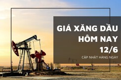 Giá xăng dầu hôm nay 12/6: Tiếp tục chững giá trên sàn Tokyo