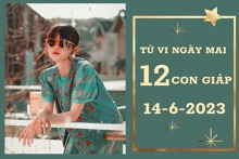 Tử vi ngày mai của 12 con giáp 14/6/2023: Tuất tài lộc có biến động, Thân sự nghiệp xán lạn