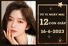 Tử vi ngày mai của 12 con giáp 16/6/2023: Mùi tài lộc ổn định, Tý công việc khó khăn