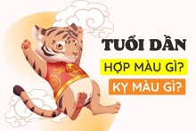 Tuổi Dần hợp màu gì 2023 để gặp nhiều may mắn, vạn sự hanh thông?