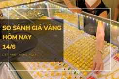 So sánh giá vàng hôm nay 14/6: Vàng SJC vẫn giao dịch ở mốc 67,07 triệu đồng/lượng