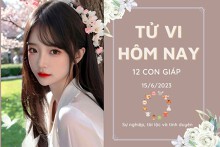 Tử vi hàng ngày hôm nay của 12 con giáp 15/6/2023: Tỵ công việc gặp sự cố, Mão tài lộc vượng phát