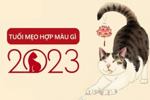 Tuổi Mẹo hợp màu gì 2023 để thu tài hút lộc cả năm?