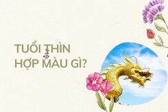 Tuổi Thìn hợp màu gì 2023 để hút nhiều tài lộc, may mắn?