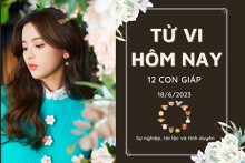 Tử vi hàng ngày hôm nay của 12 con giáp 18/6/2023: Ngọ tình duyên nở rộ, Dậu tài lộc may mắn