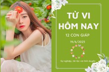 Tử vi hàng ngày hôm nay của 12 con giáp 19/6/2023: Ngọ tài lộc hanh thông, Dậu tình cảm hài hòa
